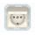 Kontaktrozete ar zemējumu un vāciņu ziloņkaula krāsā Vilma SL250 RP16-003-02 