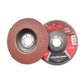 Delog Lokšņu slīpēšanas disks KLT2 125x22.2mm, P24