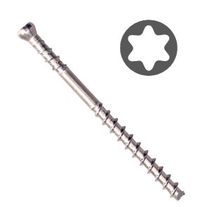 Camo skrūves terasēm A2, Torx15, 4.2x60mm (200gab)